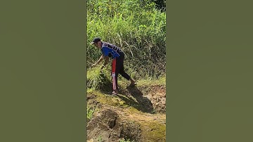 a smart tool that is suitable for trimming grass for livestock needs #shorts