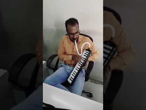 #melodica #musiclover #keyboardplayer. Jaane kaha Gaye wo Din cover on Melodica camera iphone 8 plus apk