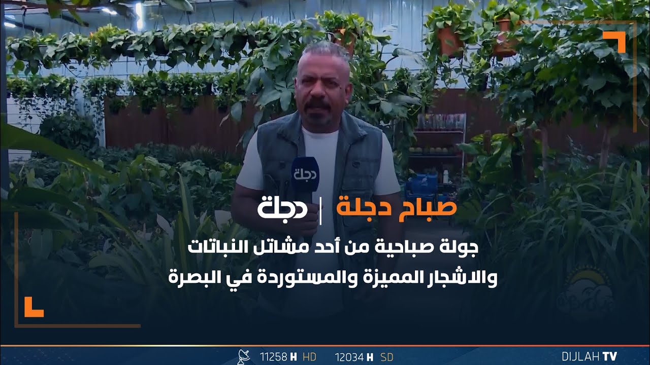 جولة صباحية من أحد مشاتل النباتات والاشجار المميزة والمستوردة في البصرة