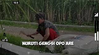 story wa keren // dalan liyane cover happy asmara.