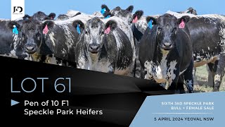 : Lot 61: Pen of 10 x PTIC F1 Commercial Speckle Park/Angus Heifers