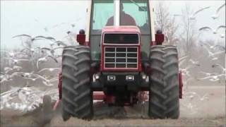 The International 3588 2+2 Tractor tribute
