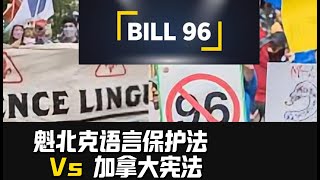 为什么卡尼不支持语言法用“尽管条款&quot;|什么是宪法“尽管条款”|魁北克制度的法语焦虑|语言传承的重要性|