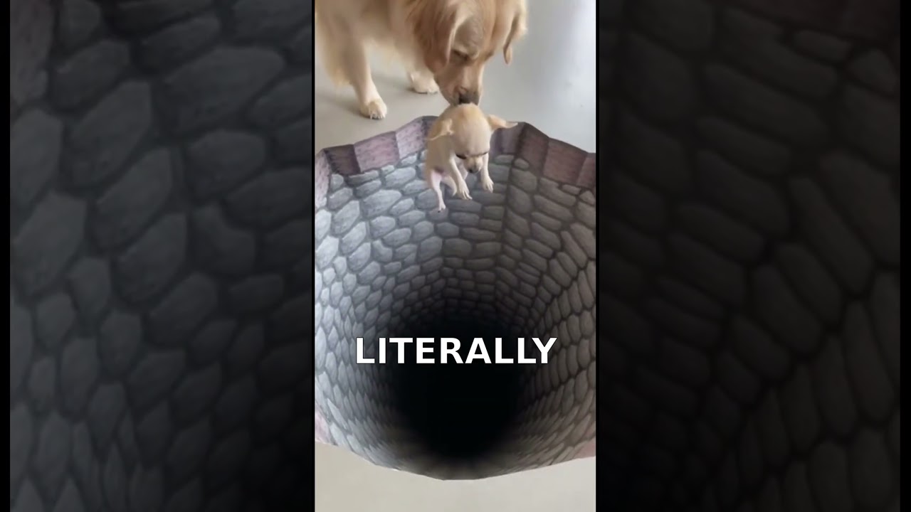 Long Live The King"... Dog Version 💀 