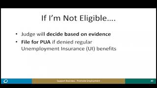 Adjudication Webinar