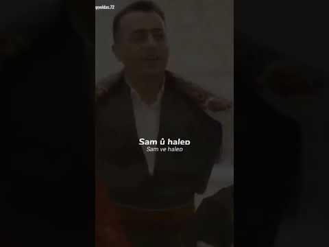 Şam û halep diyarbekir WhatsApp Durumu Kürtçe şarkı