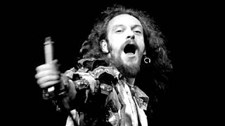 Музыкальные двойники: Jethro Tull The Eagles Цветы