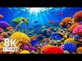 The Best 8K Aquarium Dive Deep Into Colorful Coral Reefs Peaceful Sea Animals 