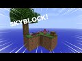I Played SkyBlock in Yeeps…(Ft @Mrstick4597)
