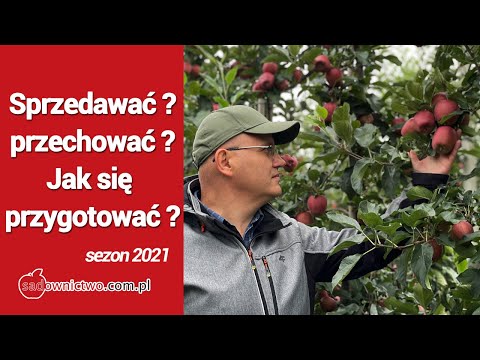 Wideo: Jak Zdobyć Identyfikator Jabłka?
