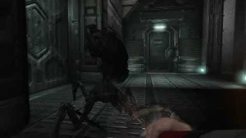 Doom 3 bot murder