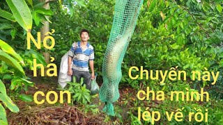 Lật ngược tình thế, chuyến này toàn lươn bự. Dính luôn cá trê | Săn bắt SÓC TRĂNG |