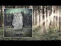 Gealdýr — Sól [Full Album]