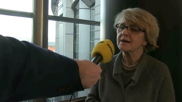 Constitutional Affairs: Danuta Hübner