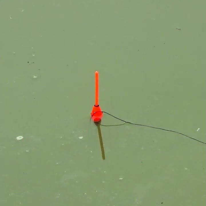 Best Fishing Video in Anakhanda area