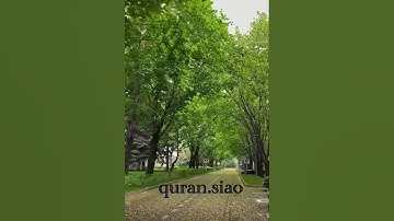(إِنَّ اللَّهَ وَمَلَائِكَتَهُ يُصَلُّونَ عَلَى النَّبِيِّ ۚ ) القارئ #عبدالعزيز_التركي