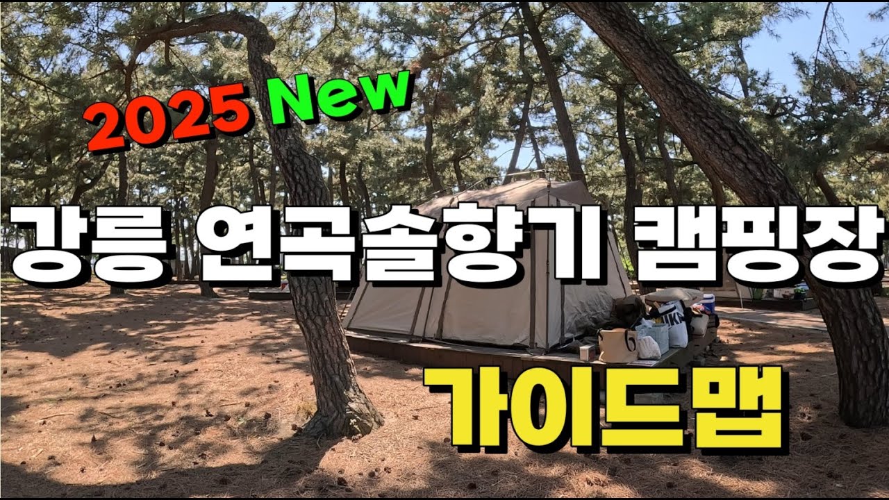 4K🏕️강릉 연곡솔향기 캠핑장🏖️ l 🏄🏽역대급 오션뷰 l 명당 l🚁드론 l 바다캠핑 l 강원도 l 연곡해수욕장 l 데크별 상세 리뷰 l 1인칭시점 l 캠핑장추천 l 강원도캠핑장
