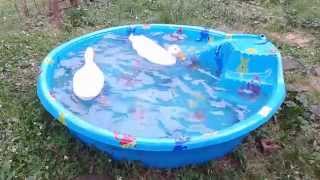 20150512_194426.mp4