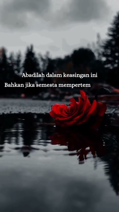 Tak bisa mencintaimu _ Sammy Simorangkir #storywa #storywa30detik #story #storywagalau #shorts