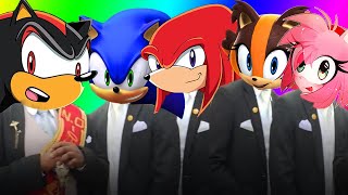 Knuckles The Echidna & Shadow The Hedgehog & Amy Rose & Sonic The Hedgehog Coffin Dance Song Cover