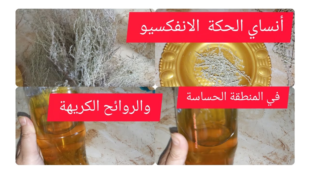 جربي هدي العشبة مرة واحدة وادعيلي  ودعي الحكة والروائح الكريهة بهذه العشبة السحرية مضمونة 100/100👌