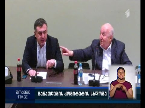 ხმაური და დაპირისპირება განათლების კომიტეტის სხდომაზე