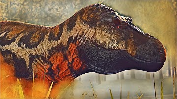 The Hard Life of a Tyrannosaurus Rex