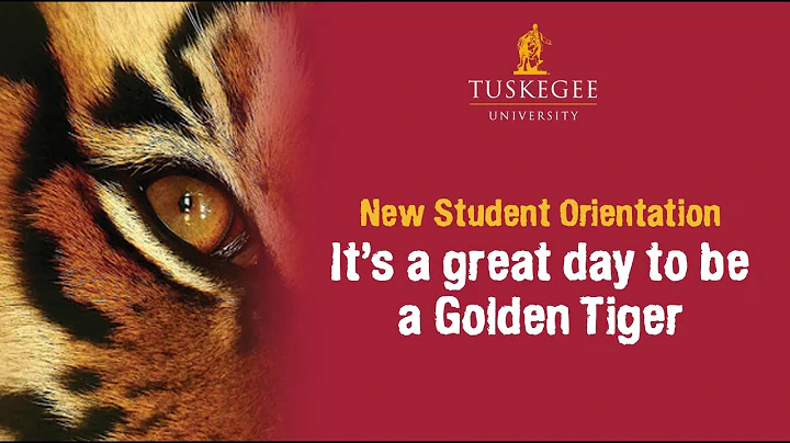 New Student Orientation Video