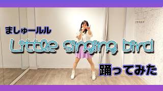 【ルルットリリィ】Little singing bird【踊ってみた】
