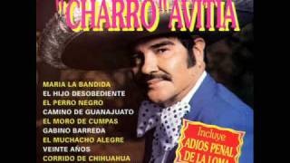 Francisco el Charro Avitia Traigo mi 45 chords