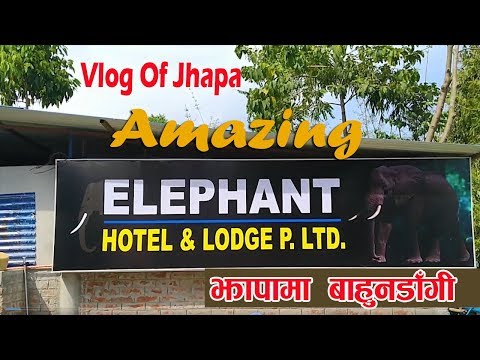 Students Com - elephant hotel roblox