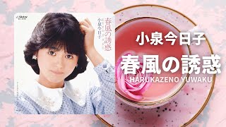 春風の誘惑小泉今日子