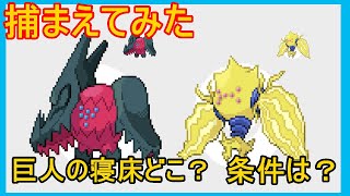 レジエレキ＆レジドラゴを捕まえてみた【巨人の寝床】レジアイスレジ