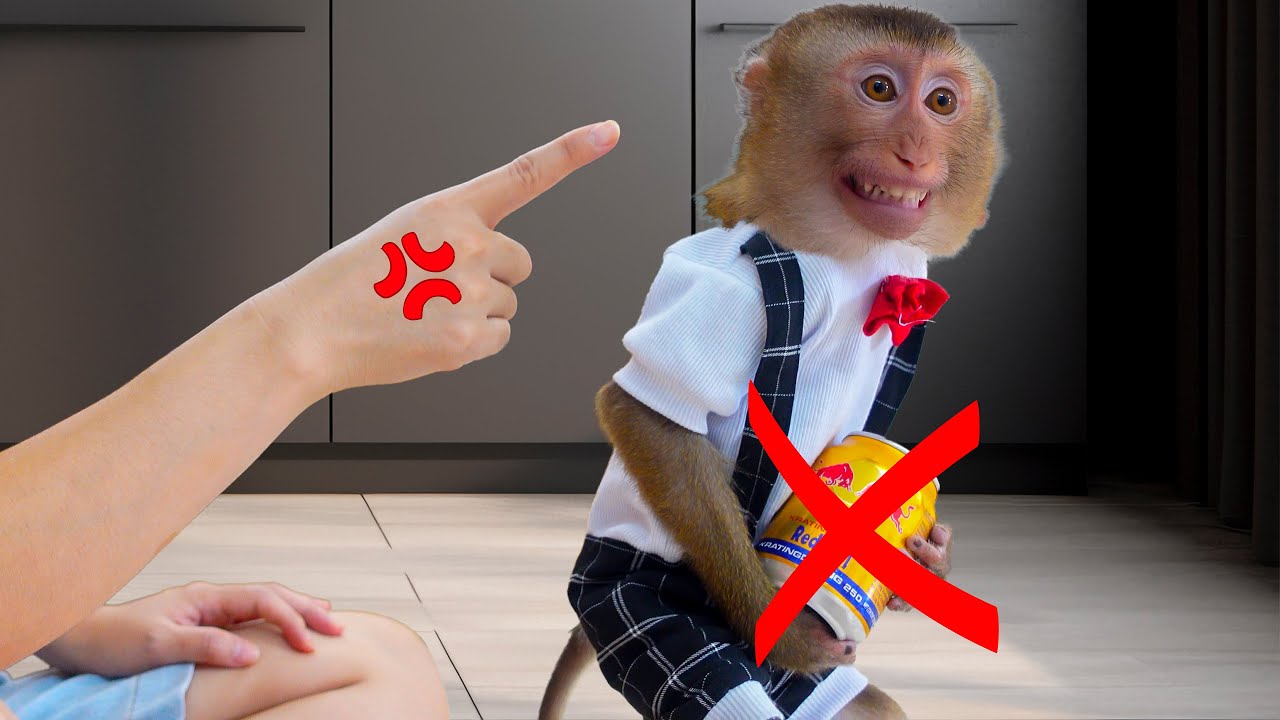 😱 Pupu Got Caught Stealing Soda From the Fridge!