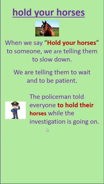 what-does-hold-your-horses-means-youtube