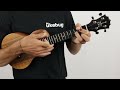 Koaloha kcm10rp pikake solid koa concert ukulele  the ukebug