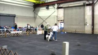 MVI_0840.avi