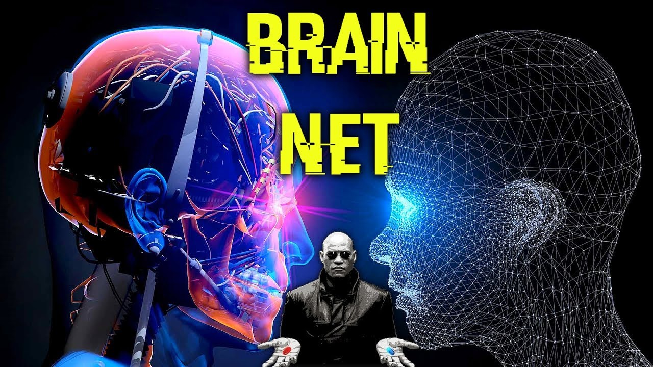 BrainNet - El Nuevo Internet Entre Cerebros Humanos y Mundos Virtuales ...