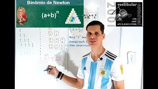 Binomial Theorem and Pascal's Triangle - Question 17 - 2001 UERJ Entrance Exam (Essay-style)