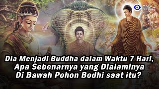 Dia Menjadi Buddha dalam Waktu 7 Hari. Apa Sebenarnya yang Dialaminya Di Bawah Pohon Bodhi saat itu?