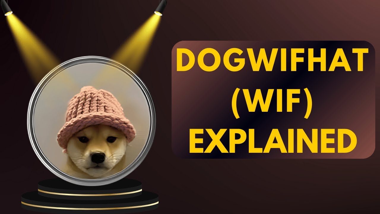 Что такое Dogwifhat (WIF)? Монета с мемами о собаках на Solana
