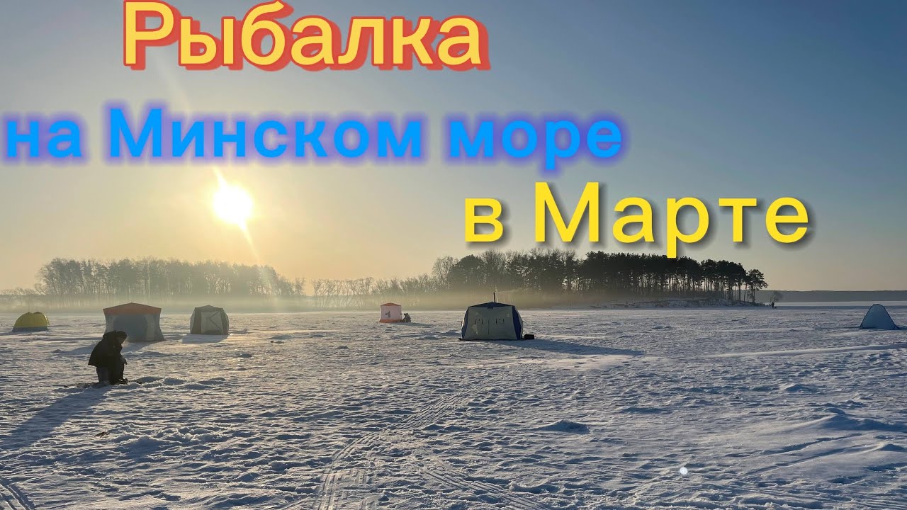 Рыбалка на Минском Море в Марте.Первый раз на лёд в 2026 году.Клюнул судак, Подлещик,Плотва и Ёрш.