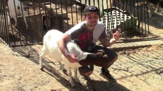 Maz Dogg- First World Problems (OFFICIAL MUSIC VIDEO)