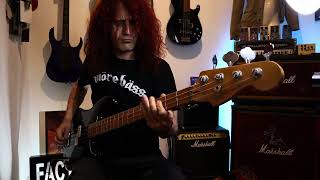 5 EASY Stoner Rock bass riff ideas