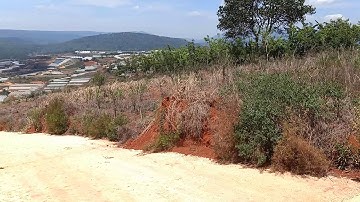 Cần bán đất mặt tiền đường hẻm thôn Lộc Quý, xã Xuân Thọ, Tp. Đà Lạt, tỉnh Lâm Đồng. Đất có View rất