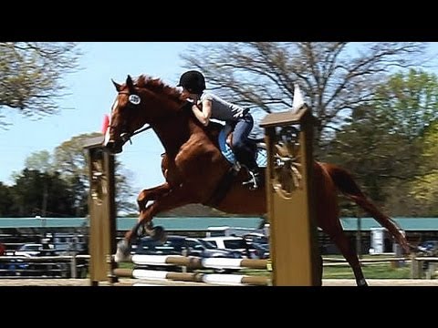 super-funny-commentary-at-horse-show!