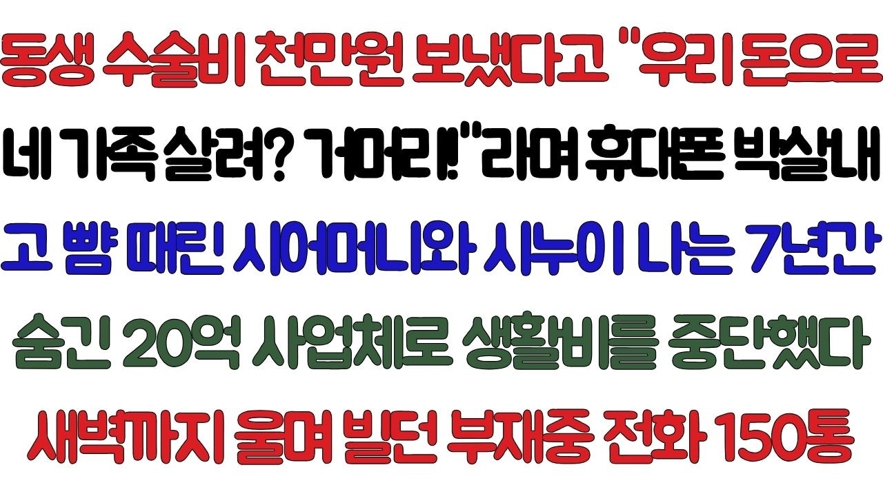 동생 수술비 천만 원 보냈다고 '우리 돈으로 네 가족 살린다고? 이 거머리!'라며 휴대폰 박살내고 뺨 때린 시어머니와 시누이. 나는 7년간 숨겨온 연 이십억 사업체로 시댁...