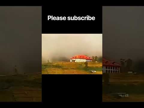 subscriber