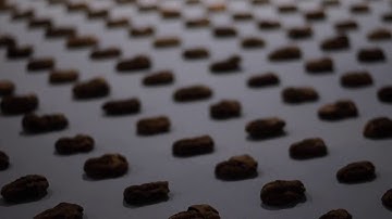 Tušení světla / The Portent of Light teaser