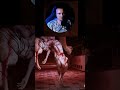 The Evil Within 2